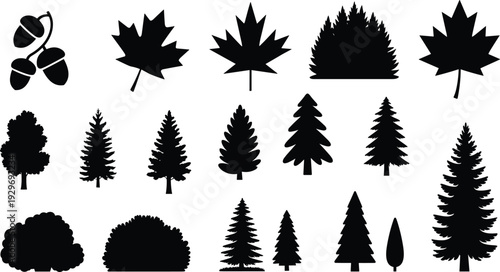 Tree and leaf silhouettes collection including maple, oak, pine and bush shapes isolated on white background