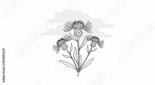 A simple, line-art illustration of three thistle-like flowers with clouds in the background