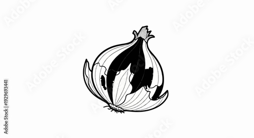 Half of an onion cut lengthwise, revealing layers and roots