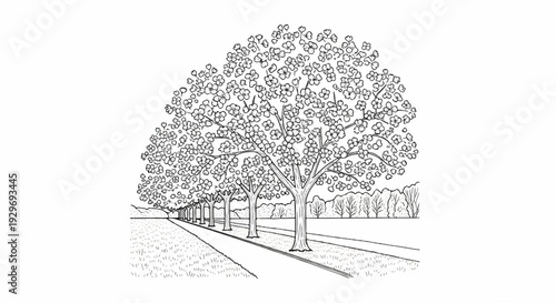 A linear perspective drawing of a blooming tree-lined path through grassy fields