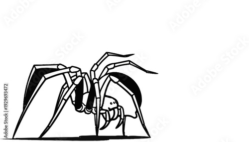 Detailed illustration of a large spider with segmented legs poised for action