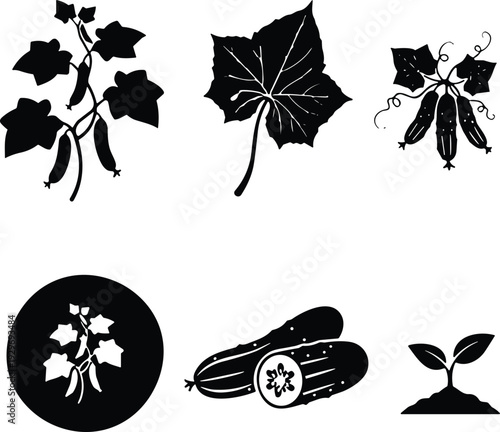 Black cucumber plant and leaf silhouette icon set, organic vegetable vine vector illustration isolated on white background