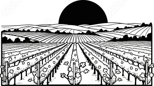 Black and white illustration of a sun setting over rolling hills and a vineyard