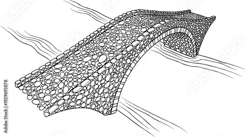 A rustic stone arch bridge curves gracefully over flowing water