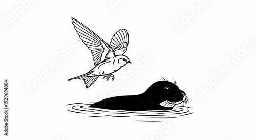 A bird flies over a seal surfacing from water