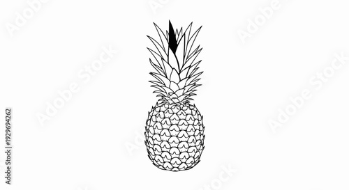A black and white line drawing of a whole pineapple with its spiky green crown