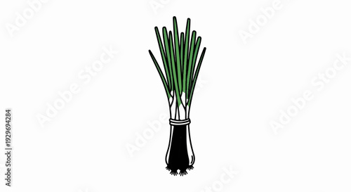 A stylized bunch of green onions tied together, showcasing their slender stalks and roots