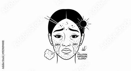 Illustration of a woman's face showing effects of sun, pollution, and dry air on skin
