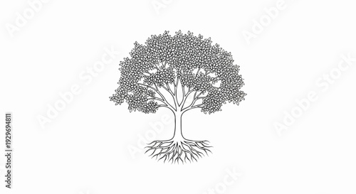 A detailed illustration of a deciduous tree, showing its full canopy and exposed root system