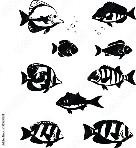 A collection of black fish illustrations with varying shapes and sizes presented as a striking silhouette high quality professional detailed modern
