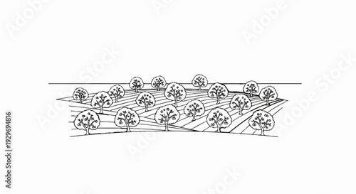 A stylized, hand-drawn orchard with many trees bearing fruit, depicted with linear perspective