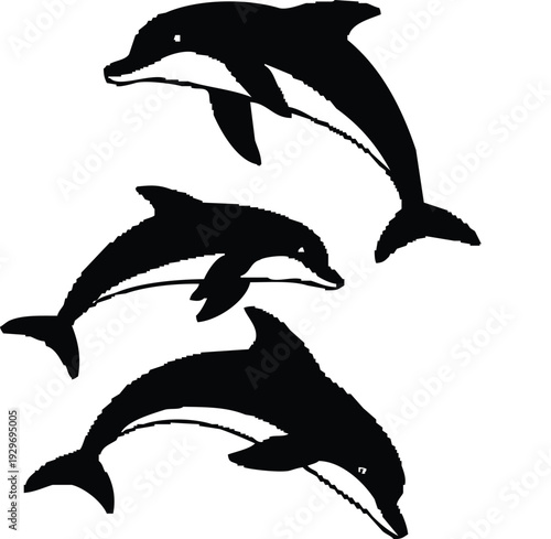 A striking image showcases four leaping dolphins in a bold black silhouette high quality professional detailed modern elegant stylish clean crisp
