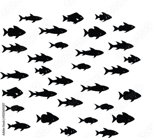 A multitude of black fish swim in a swirling formation against a white background creating a striking silhouette high quality professional
