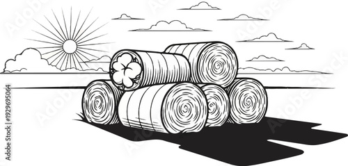 A field of cotton bales under a bright sun and cloudy sky