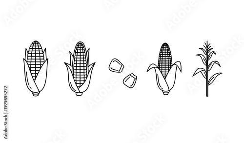 Corn Thin Line Icon Set Agricultural Outline Vector Collection for Web