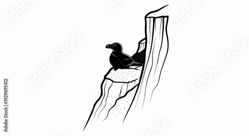 A black bird with a large beak rests on a cliff ledge, facing left