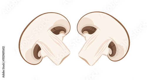 Two fresh white button mushroom halves placed side by side showing the gills and stem structure in a detailed vector.