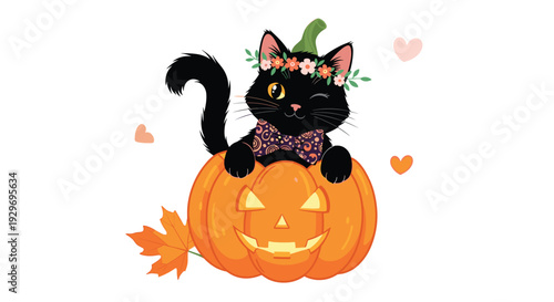 Adorable black cat with a flower wreath on its head peeking out from a carved Halloween jack-o-lantern pumpkin with hearts.
