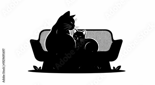 Two black cats, one large and one small, rest together on a patterned couch
