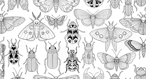 Detailed seamless pattern of various types of insects including moths butterflies and beetles for an entomology coloring book.