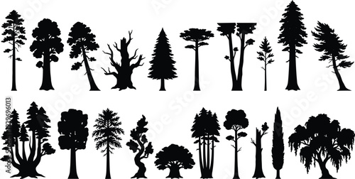 Forest Tree Silhouette Collection with Various Pine Oak and Deciduous Trees Vector Illustration Isolated on White Background