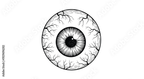 Detailed hand drawn sketch of a human eyeball with prominent blood vessels in vintage anatomical line art style.