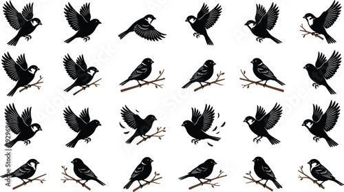 Small Bird Silhouette Collection Flying and Perched on Branch Vector Set Isolated on White Background Wildlife Illustration