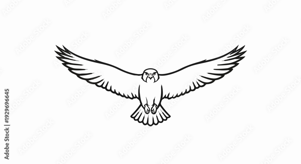 Obraz premium Stylized black outline drawing of a bird of prey in flight