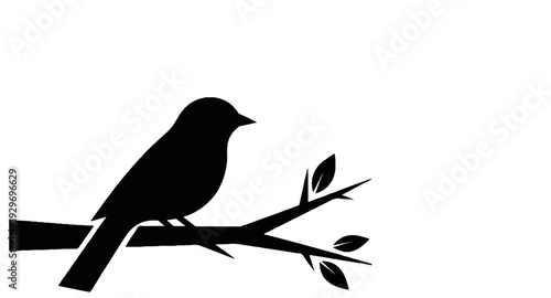 A black silhouette of a bird perches on a leafless tree branch