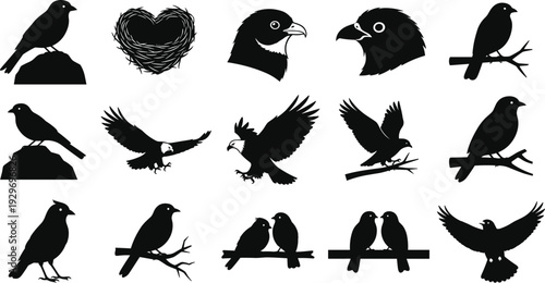 Crow and Eagle Silhouette Collection with Perched and Flying Black Birds Vector Illustration Isolated on White Background