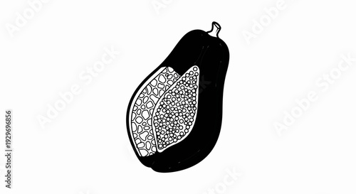 Black and white illustration of a sliced papaya, revealing seeds and flesh