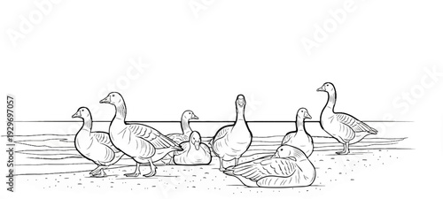 A group of geese gathered near the water's edge