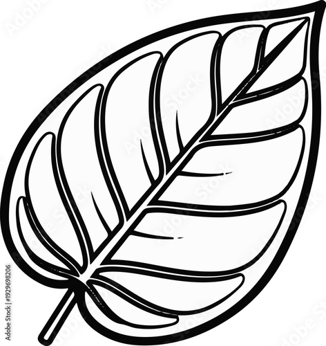 Bold black outline defines a simple, stylized leaf with clear veins and a stem