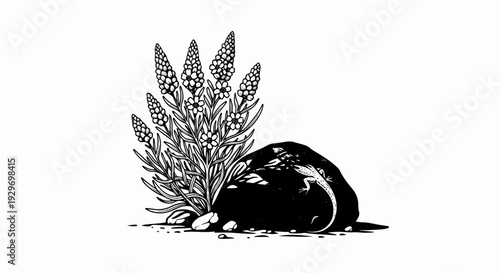 A black and white drawing of a small lizard on a dark rock beside a flowering plant