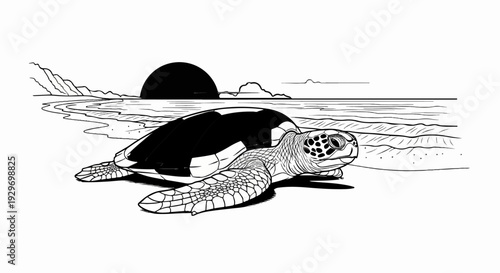 A sea turtle emerges from the ocean onto a sandy beach at sunset