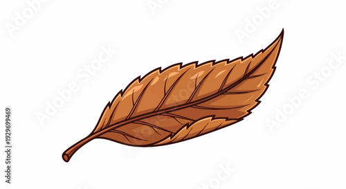 A solitary brown, dry leaf with serrated edges and visible veins