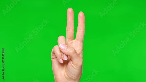 High-Definition VIDEO of Hand Gesture on Green Screen in Symmetrical Layout