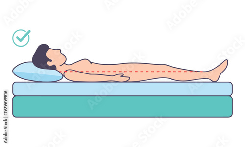 Correct Back Sleeping Posture Illustration with Spinal Alignment