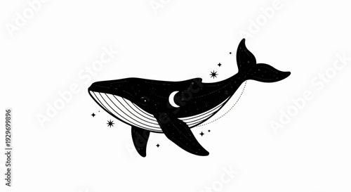 Whimsical black whale silhouette filled with stars and a crescent moon