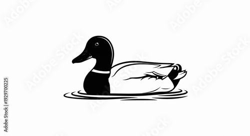 A black and white graphic illustration of a mallard duck swimming in water