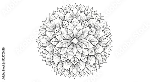 Intricate black and white mandala design with floral patterns.