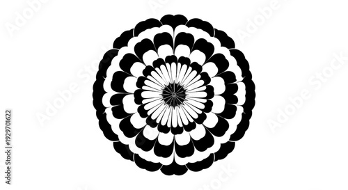 Black and white circular pattern with floral design elements.