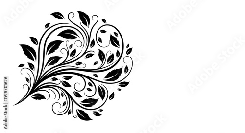 Black and white floral pattern with leaves and swirls.