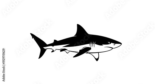 Black silhouette of a shark swimming.