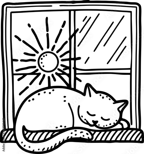Sleeping cat curled up on a windowsill with sun shining through the window in cozy calm scene