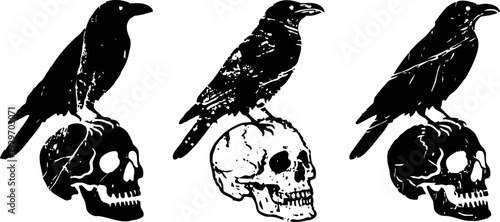 three black ravens perched on human skulls, gothic dark art illustration in silhouette