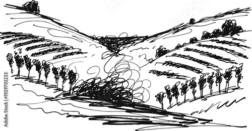 Curved rural landscape sketch with rows of trees and hills in black ink drawing