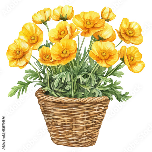 Buttercup Bouquet In A Basket, watercolor vector portraying a joyful pose with colorful highlights, isolated on a white background.
