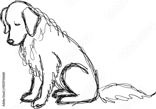 Sketch of a sitting dog with curly fur and long tail in simple black line art