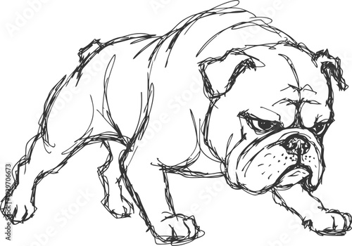 Sketch of an angry bulldog dog standing with a fierce expression and muscular posture